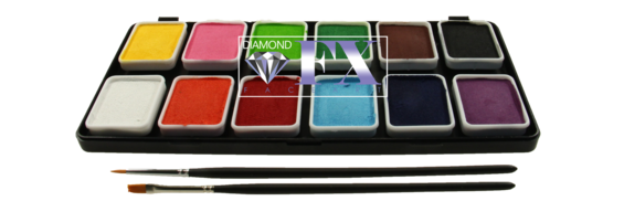 DFX Essential - Small 12x6g